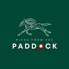 picksfromthepaddock.co.uk