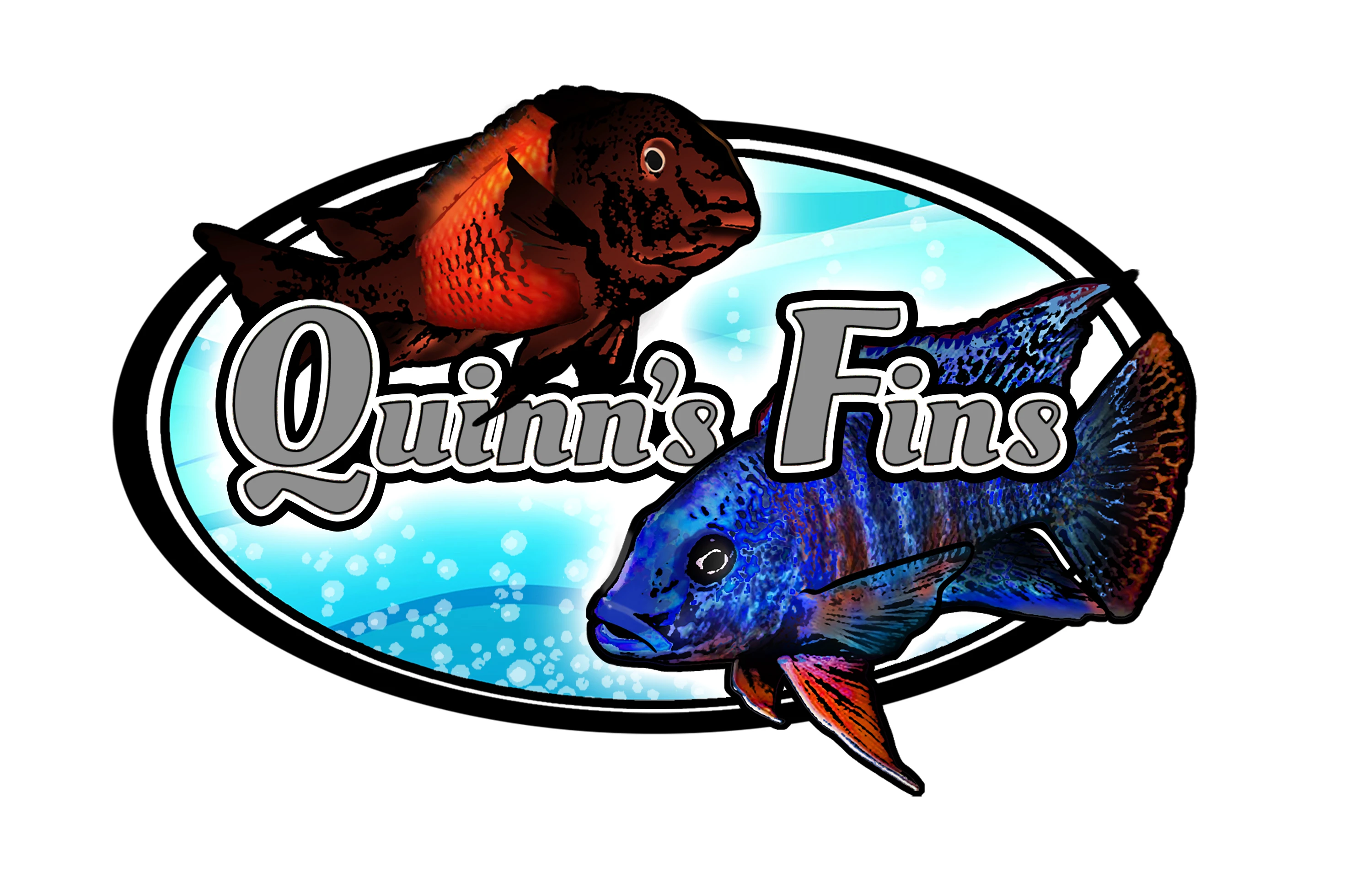 quinnsfins.com