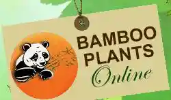 bambooplantsonline.com