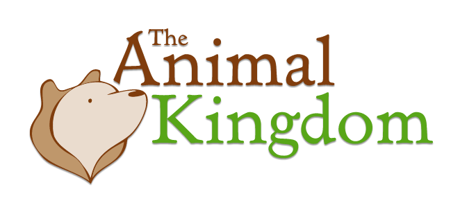 The Animal Kingdom Promo Codes & Coupon Codes