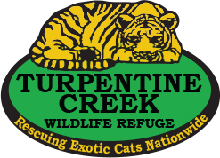 Turpentine Creek Wildlife Refuge Promo Codes & Coupon Codes